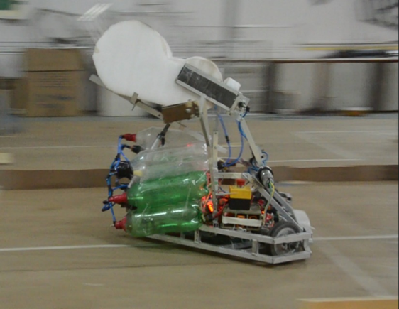 2019 Bot